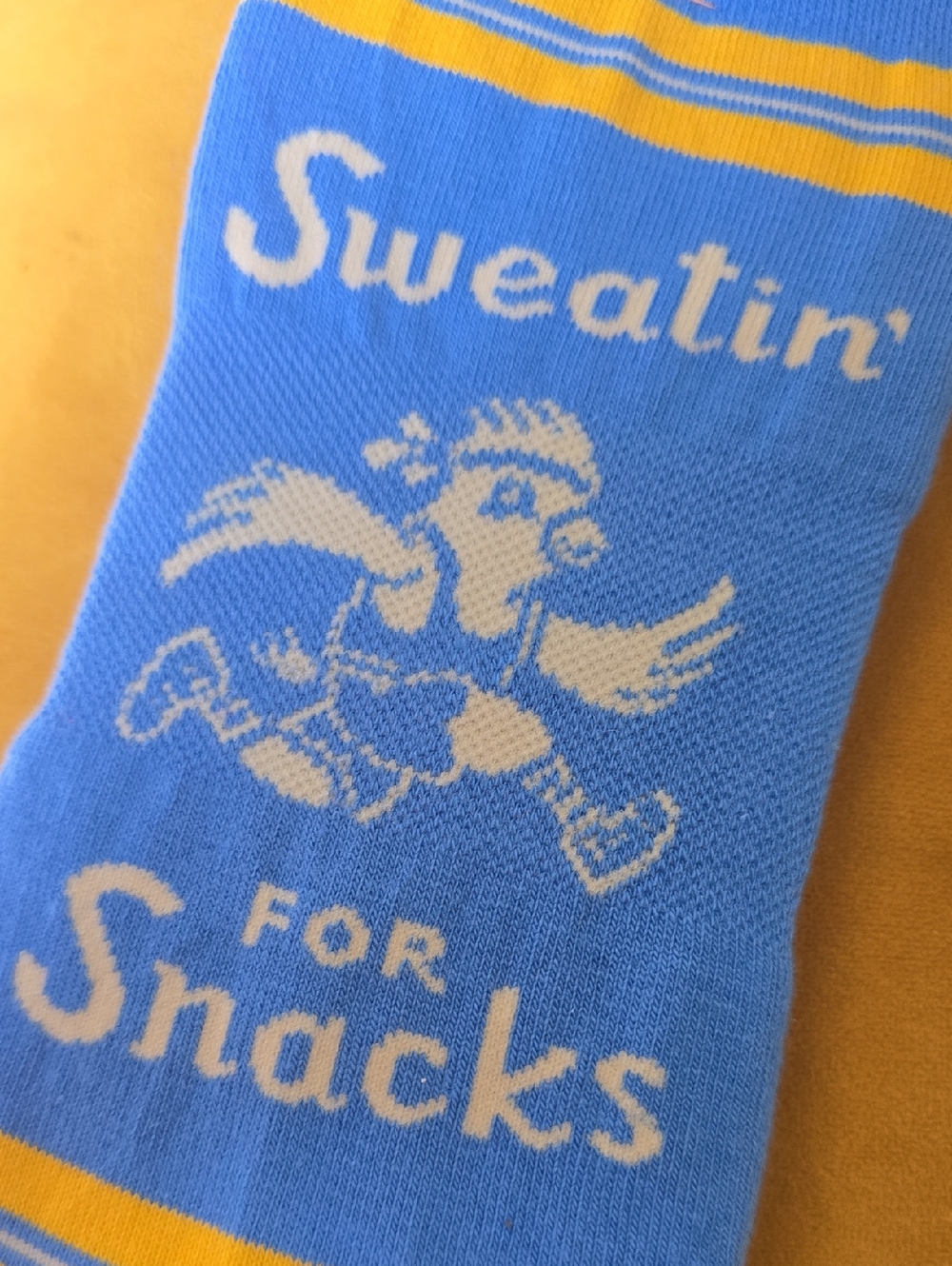 Sweatin For Snacks - Bird Running Blue Q Sneaker Socks